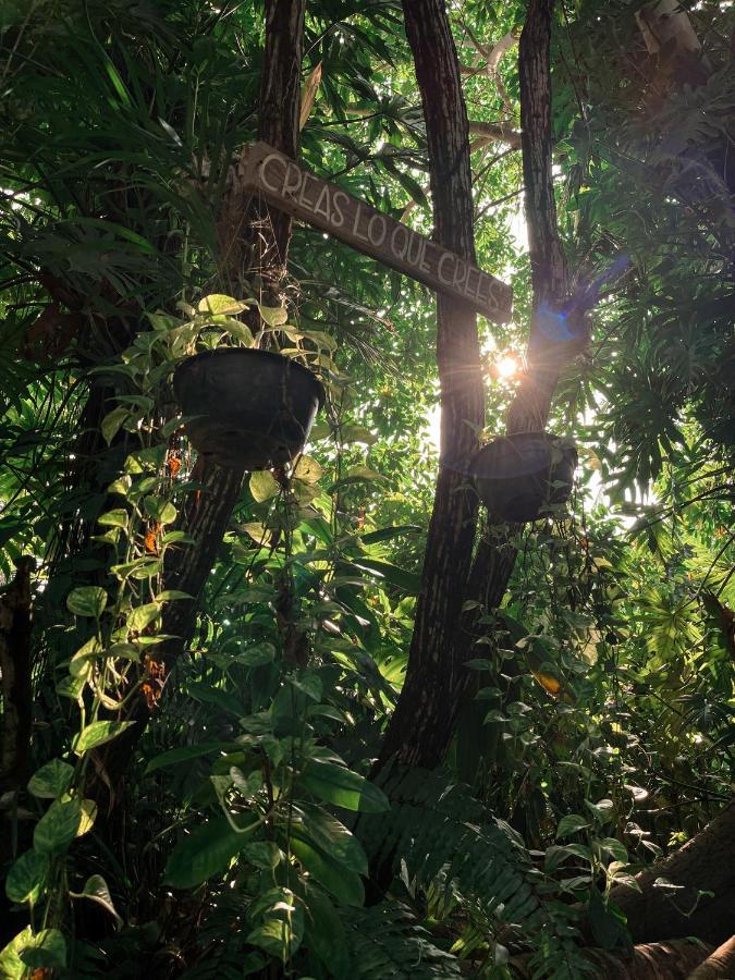 Jardin Secreto Centro Holistico Villa Acapulco Exterior photo
